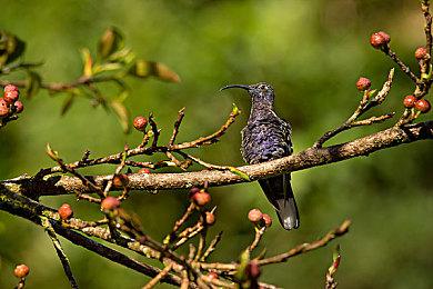 《极品飞车：不羁》内容更新预告 3月21日上线